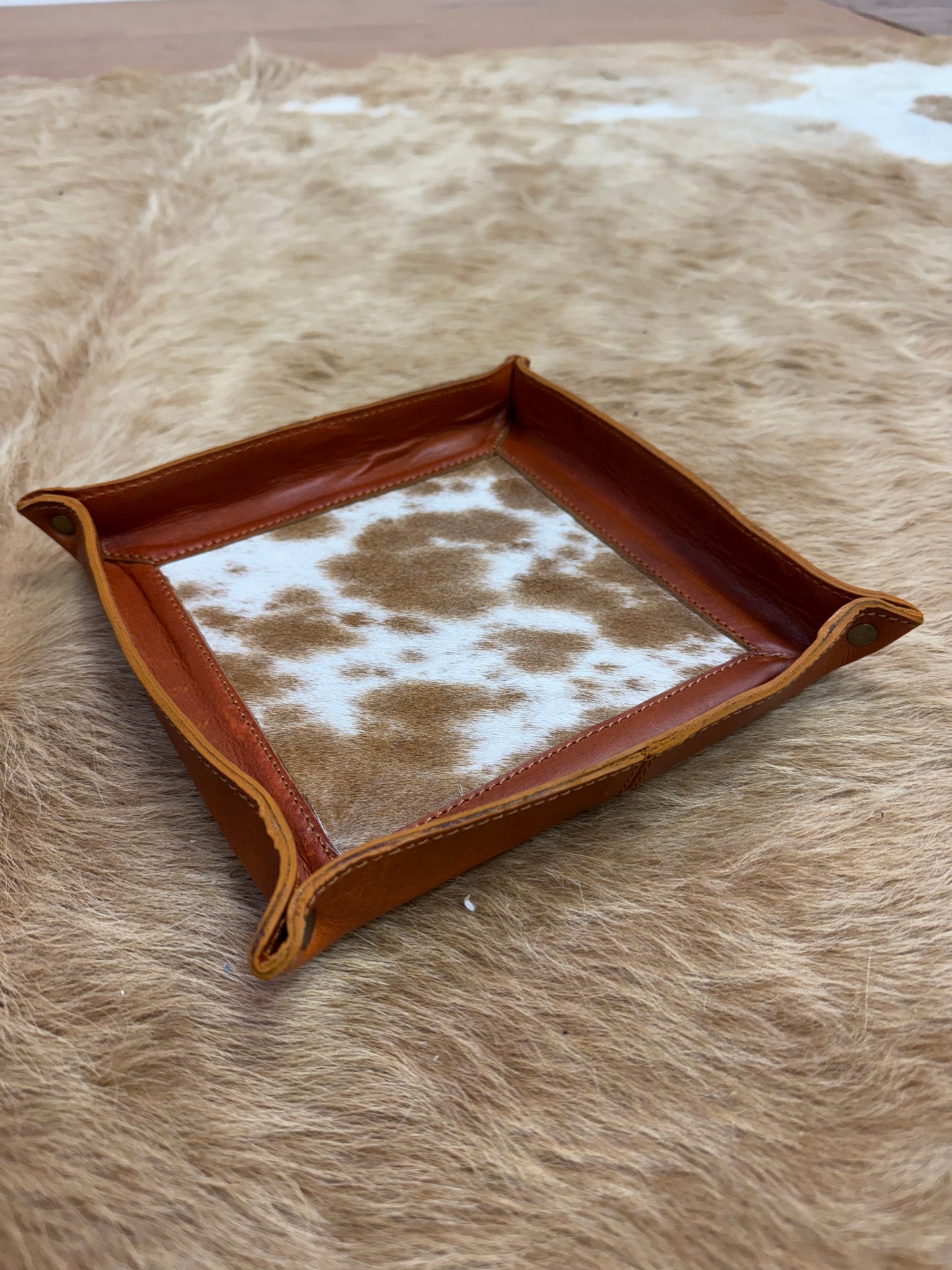 COLLECT ALL TRAY