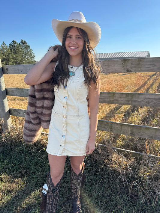 RYNLEE SLEEVELESS BUTTON DOWN DRESS