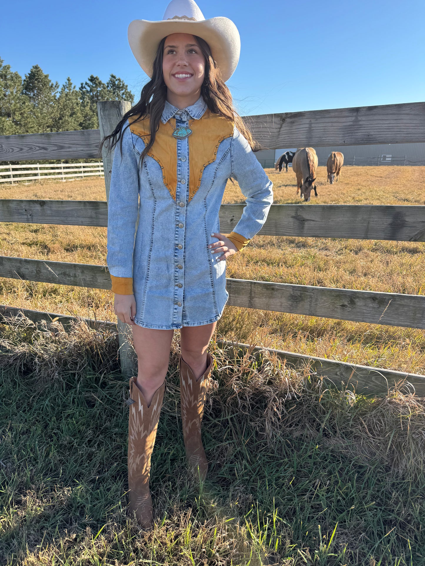 SUNSET RANGE DENIM YOKE DRESS