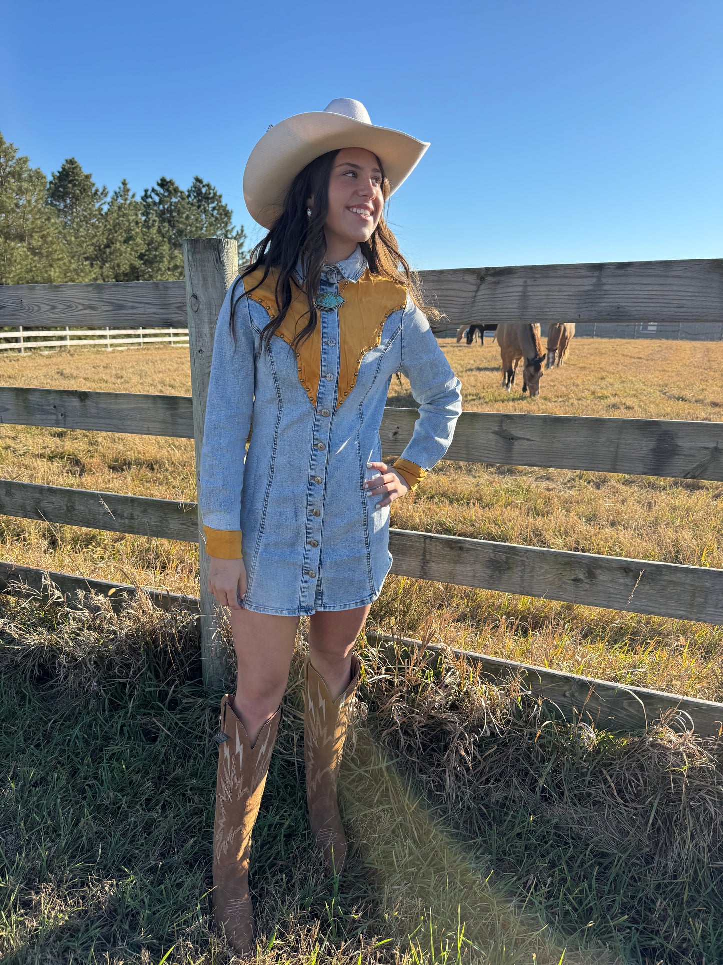 SUNSET RANGE DENIM YOKE DRESS