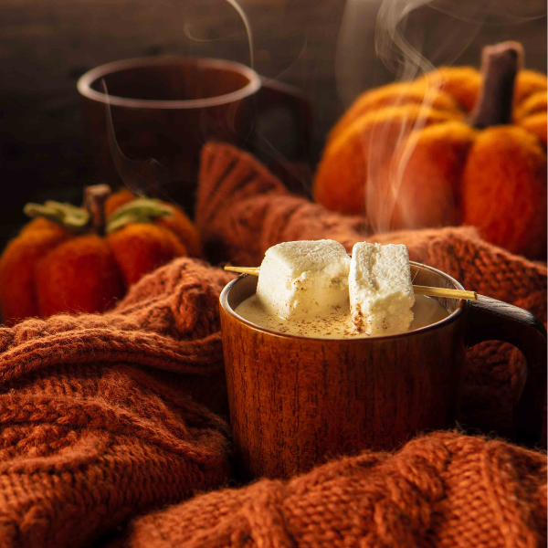 HOT COCOA VARIETY FLAVORS